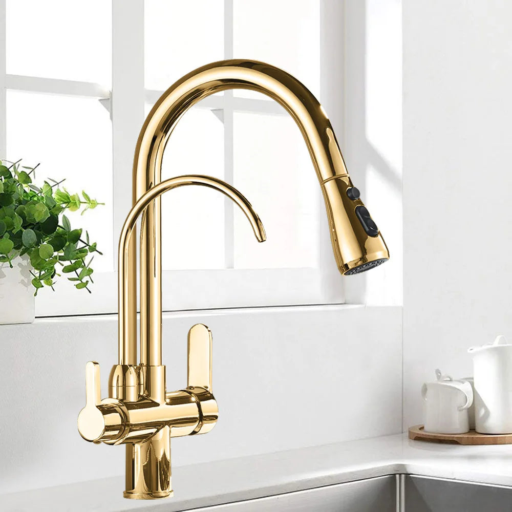 Black and Golden Filtered Crane For Kitchen Pull Out Sprayer  drinking water Three Ways Water Filter Tap Kitchen Faucet hot cold